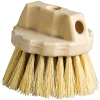 Brosse de nettoyage ronde, 5" l, Soies Tampico, Beige Pryde Industrial Inc.
