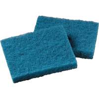 Non-Stick Cookware Cleaning Pad, Scrubbing, 5-1/4" W x 4" L Pryde Industrial Inc.