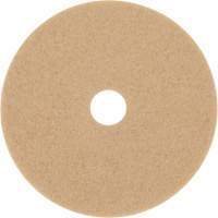 Trizact Diamond TZ Abrasive Strip, 20", Burnishing, Beige Pryde Industrial Inc.