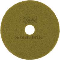 TopLine Speed Floor Pad, 17", Burnishing, Brown Pryde Industrial Inc.