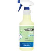 Vangard Ready-to-Use Disinfectant, 1 L, Trigger Bottle Pryde Industrial Inc.