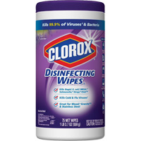 Lingettes d&eacute;sinfectantes, 75 lingettes Pryde Industrial Inc.