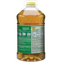 Nettoyant pour vitres et surfaces multiples Pine Sol, 4,25 L, Cruche Pryde Industrial Inc.