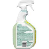 CloroxPro Clorox EcoClean Disinfecting Cleaner, 946 ml, Trigger Bottle Pryde Industrial Inc.