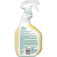 CloroxPro Clorox EcoClean All-Purpose Cleaner, 946 ml, Trigger Bottle Pryde Industrial Inc.