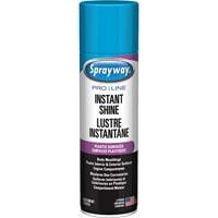 Pro Line Instant Shine for Plastic Surfaces, 11 oz., Aerosol Can Pryde Industrial Inc.