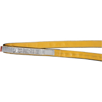 Polyester Slings, Single Ply, Endless, Type 5, 1" W x 3' L, 3200 lbs. Vertical Cap. Pryde Industrial Inc.