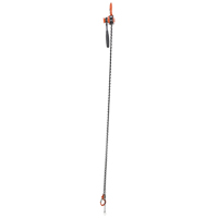 Mini Lever Hoist, 10' Lift, 1000 lbs. (0.5 tons) Capacity, Steel Chain Pryde Industrial Inc.