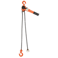 Lever Chain Hoist, 10' Lift, 1000 lbs. (0.5 tons) Capacity, Alloy Steel Chain Pryde Industrial Inc.