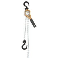 Heavy Duty Gold Series Lever Chain Hoist, 10' Lift, 500 lbs. (0.25 tons) Capacity, Alloy Steel Chain Pryde Industrial Inc.