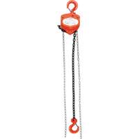 Chain Hoist, 20' Lift, 1000 lbs. (0.45 tons) Capacity, Alloy Steel Chain Pryde Industrial Inc.