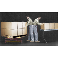 Spring-Operated Pallet Lifters - Pallet Pal&reg;, 43-5/8" L x 43-5/8" W, 4500 lbs. Cap. Pryde Industrial Inc.