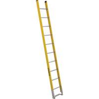 Single Section Straight Ladder - 6100 Series, 10', Fibreglass, 375 lbs., CSA Grade 1AA Pryde Industrial Inc.