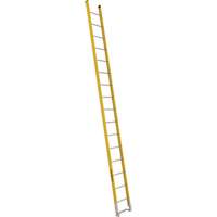 Single Section Straight Ladder - 6100 Series, 16', Fibreglass, 375 lbs., CSA Grade 1AA Pryde Industrial Inc.
