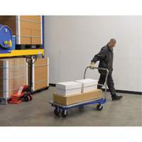 Platform Cart, 48" L x 24" W, 1500 lbs. Capacity, Mold-on Rubber Casters Pryde Industrial Inc.