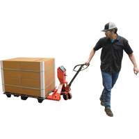 Pallet Truck, 48" L x 27.5" W, 5000 lbs. Cap. Pryde Industrial Inc.
