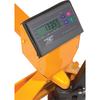Digital Scale Pallet Truck, 47.5" L x 22" W, 5000 lbs. Cap. Pryde Industrial Inc.