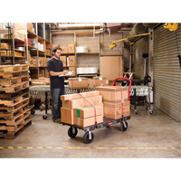 Heavy-Duty Platform Truck, 60" L x 30" W, 2500 lbs. Cap., Polyolefin Wheels Pryde Industrial Inc.