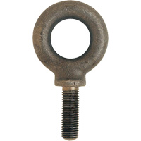 Metric Eyebolt, 51 mm Dia., 70 mm L, 11400 lbs. (5.7 tons) Capacity Pryde Industrial Inc.