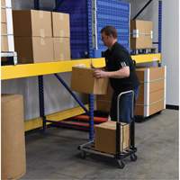 Fold-Up Platform Truck, Stainless Steel, 300 lbs., 28" L x 16" W, 33-1/2" High Pryde Industrial Inc.