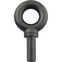 Alloy Steel Eye Bolt, 2-1/2" Dia., 3-1/2" L, 26600 lbs. (13.3 tons)/26600 lbs. Capacity Pryde Industrial Inc.