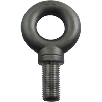 Alloy Steel Eye Bolt, 3-1/4" Dia., 4" L, 47600 lbs. (23.8 tons)/47600 lbs. Capacity Pryde Industrial Inc.