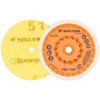 Quick-Step Instant Polish Discs, 5" Dia. Pryde Industrial Inc.