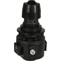 Wilkerson Regulator R26, 3/8" NPT, 300 psi Max. PSI, Standard Pryde Industrial Inc.