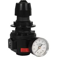 Wilkerson Regulator R26, 1/2" NPT, 300 psi Max. PSI, Standard Pryde Industrial Inc.