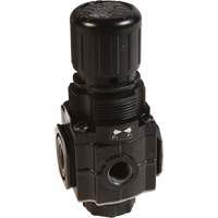 Series 1 Manifold Regulator, 1/4" NPT, 150 PSI Max. PSI, Standard Pryde Industrial Inc.