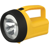 EverReady&reg; Readyflex Floating Lantern, LED, 80 Lumens, D Batteries Pryde Industrial Inc.