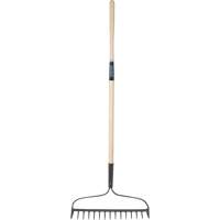 Heavy-Duty Bow Rake, Wood Handle, 58" L, 15" Blade, 15 Tines Pryde Industrial Inc.