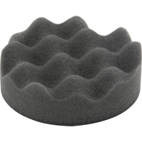 Polishing Pads
