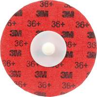 Cubitron II Roloc Durable Edge Disc, 3" Dia., 36+ Grit, Ceramic Pryde Industrial Inc.