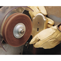 Scotch-Brite High Strength Discs (Aluminum Oxide), 6" Dia., Very Fine Grit, Aluminum Oxide Pryde Industrial Inc.