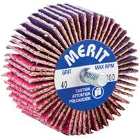 Threaded Mini Flap Wheel, Ceramic Alumina, 40 Grit, 2" x 1" x 1/4"-20 Pryde Industrial Inc.