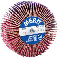 Threaded Mini Flap Wheel, Ceramic Alumina, 40 Grit, 3" x 1" x 1/4"-20 Pryde Industrial Inc.