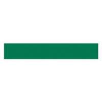 Write-On Magnetic Label, Magnetic, 600" L x 1" W Pryde Industrial Inc.