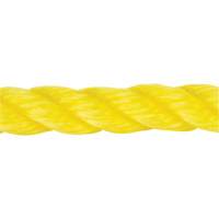 Braided Yellow Rope, Polypropylene, 144' Pryde Industrial Inc.