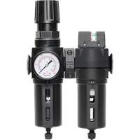 Filter/Regulator & Coalescing Filter Modulair 300 with Standard Bowl & Manual Drain, 3/8" NPTF, 150 PSI, 5.12 fl. oz. Capacity Pryde Industrial Inc.