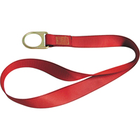 PointGuard Anchorage Connector Straps, D-Ring, Temporary Use Pryde Industrial Inc.