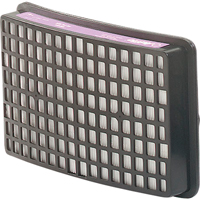 Speedglas Respiratory Protection-replacement Filters & Cartridges, P100 Filter, Pack of 2 Pryde Industrial Inc.