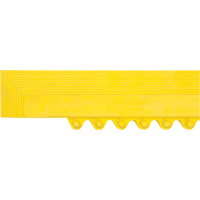 Rampe de bordure pour tapis Pryde Industrial Inc.