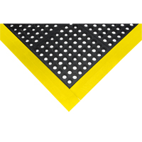 Rampe de bordure pour tapis Pryde Industrial Inc.