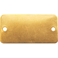 Blank Tags, Brass, 2" W x 1" H Pryde Industrial Inc.