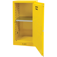 Armoire pour produits inflammables, 16 gal., 1 Porte(s), 23" La x 44" h x 18" p Pryde Industrial Inc.