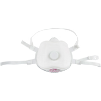 Respirateur contre les particules, P100, Certifi&eacute; NIOSH, Moyen/grand Pryde Industrial Inc.