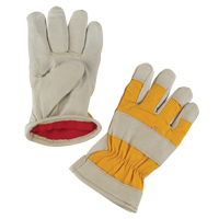 Premium Winter-Lined Work Gloves, Large, Grain Pigskin Palm, Foam Fleece Inner Lining Pryde Industrial Inc.
