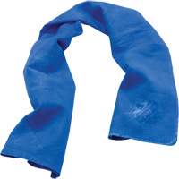 Chill-Its&reg; 6602 Cooling Towels, Blue Pryde Industrial Inc.