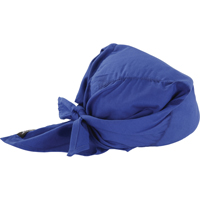 Foulards de refroidissement en triangle Chill-Its 6710CT, Bleu Pryde Industrial Inc.